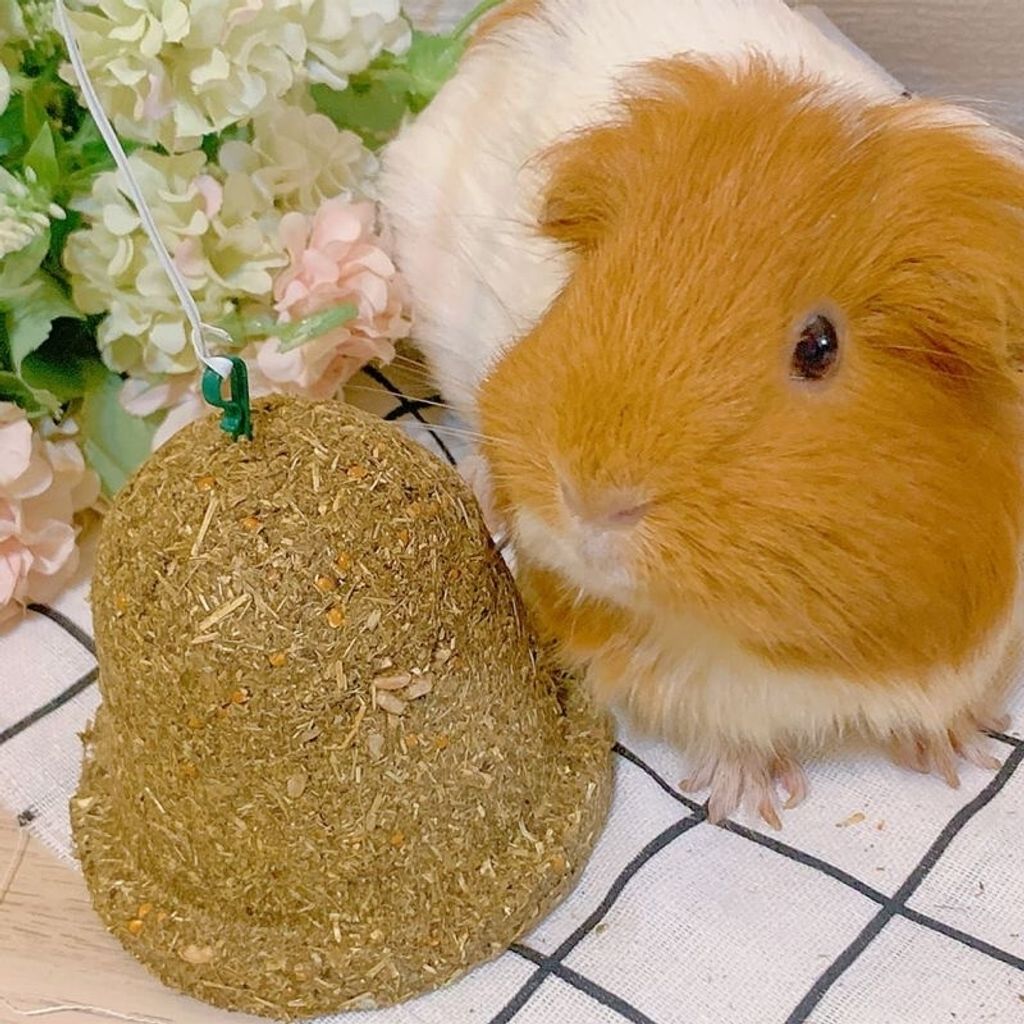 tw-11134207-7r98r-lzw710w13oqcfa