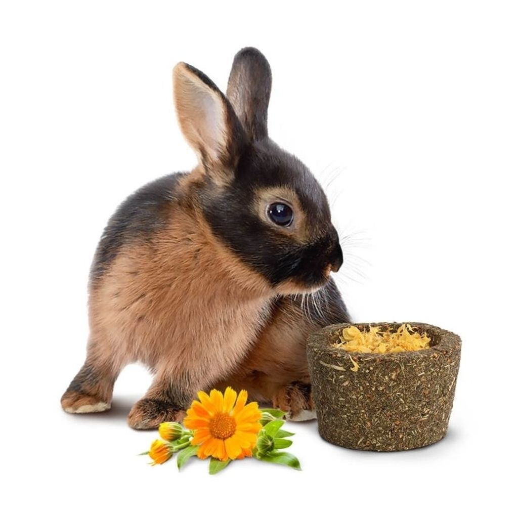 tw-11134207-7r98u-lzw710w17wfo64