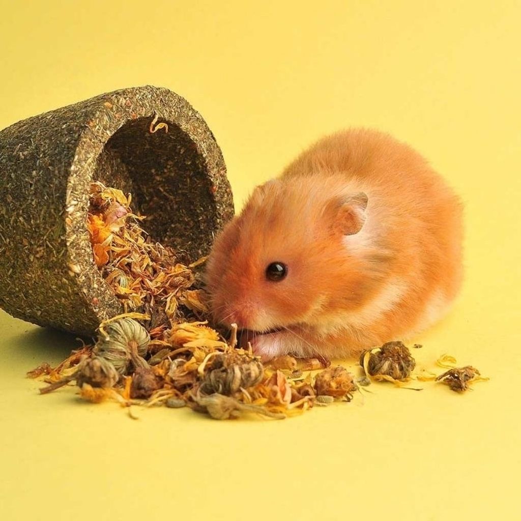 tw-11134207-7r98y-lzwfbtibuw4e42