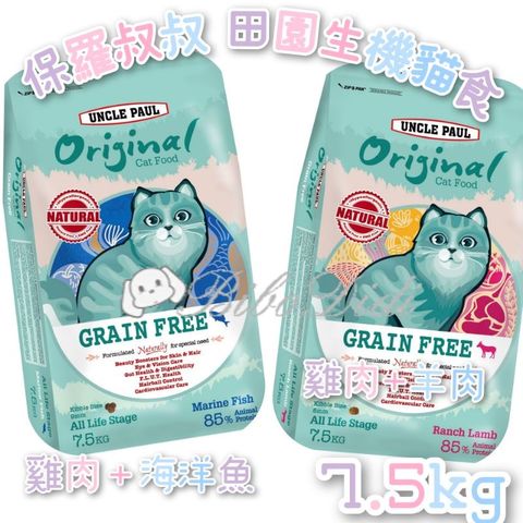 43d2e7031340a5f7cdd4074bde9ab166