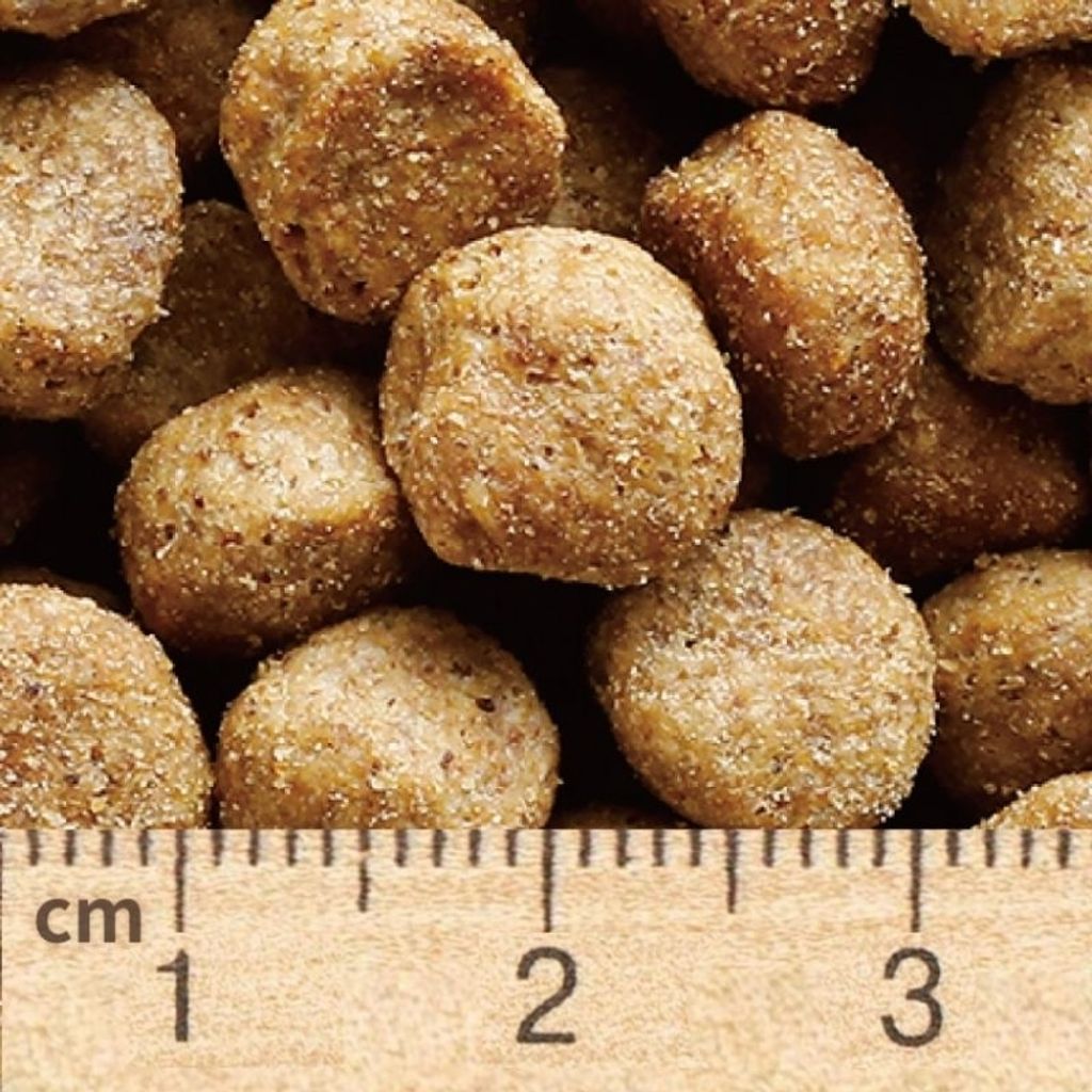 tw-11134207-7r98o-lxyx3ayj8ai8c1