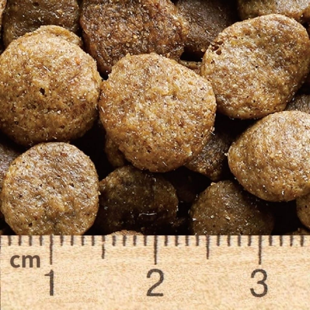 tw-11134207-7r992-lxyx3ayj6vxs91