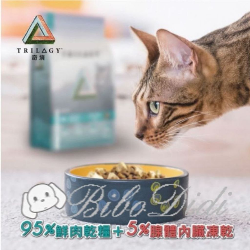 2fab6644a9d4ca8fd10fea09a47262e3