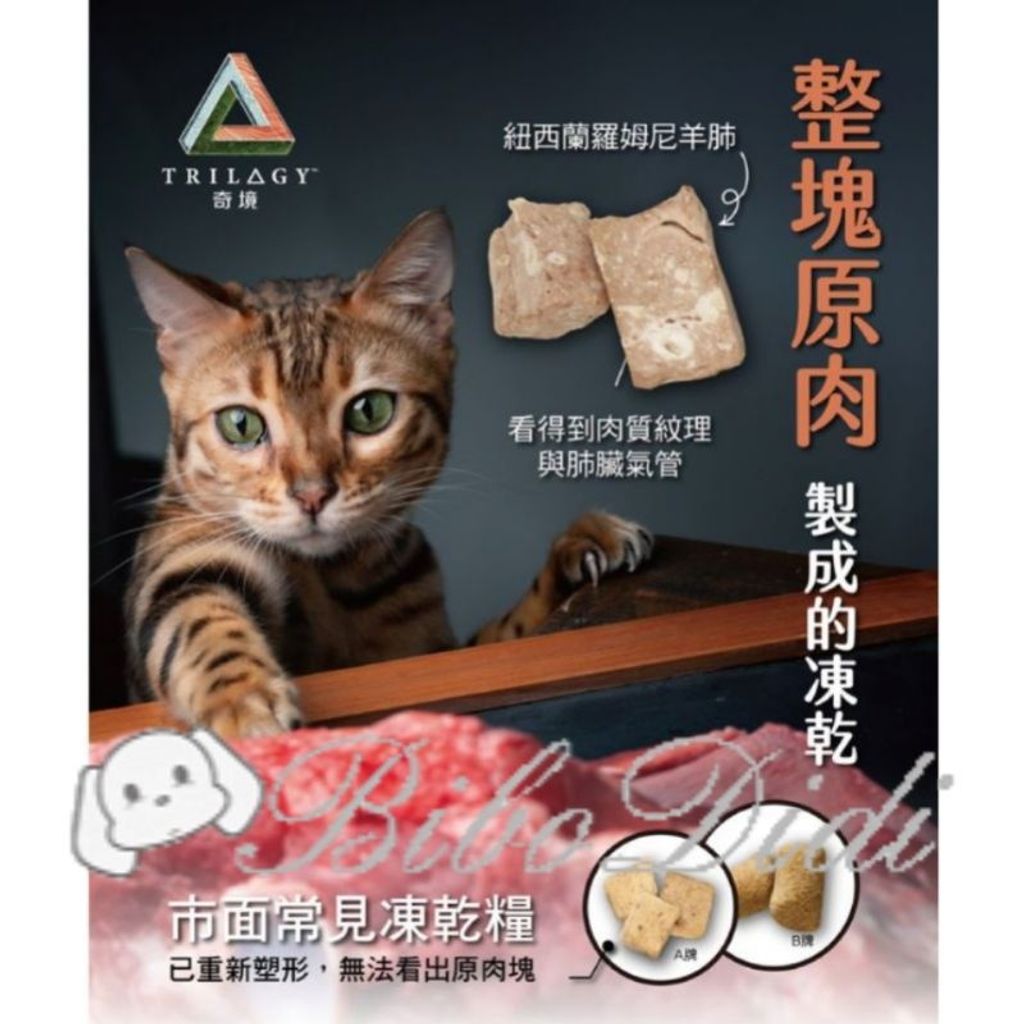 e9d14b8dc03db12feed17ffbe9634443