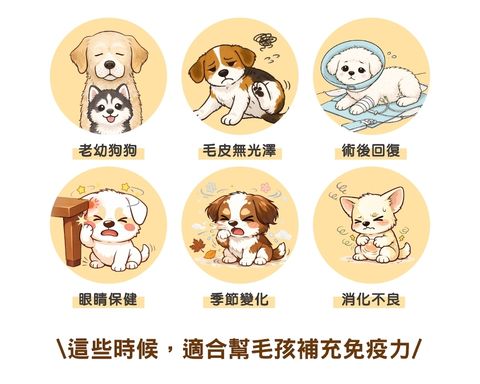 Screenshot_20260528_032928_LINE