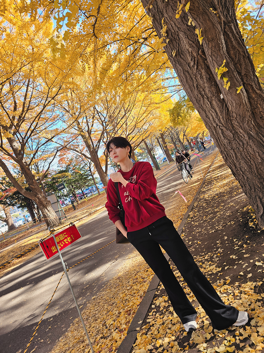 MEITU_20241109_130829126 拷貝
