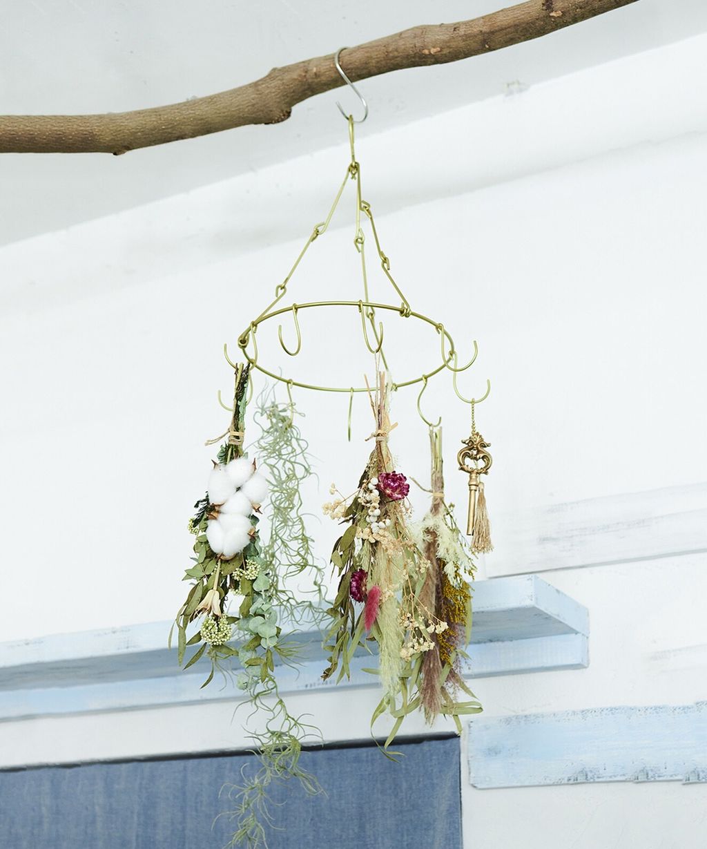 影像 615