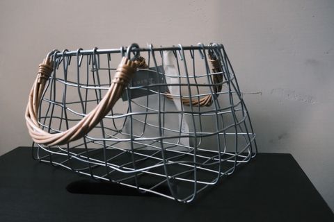 DSCF2546