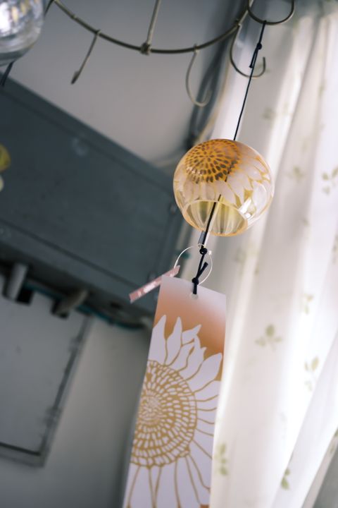 DSCF2933