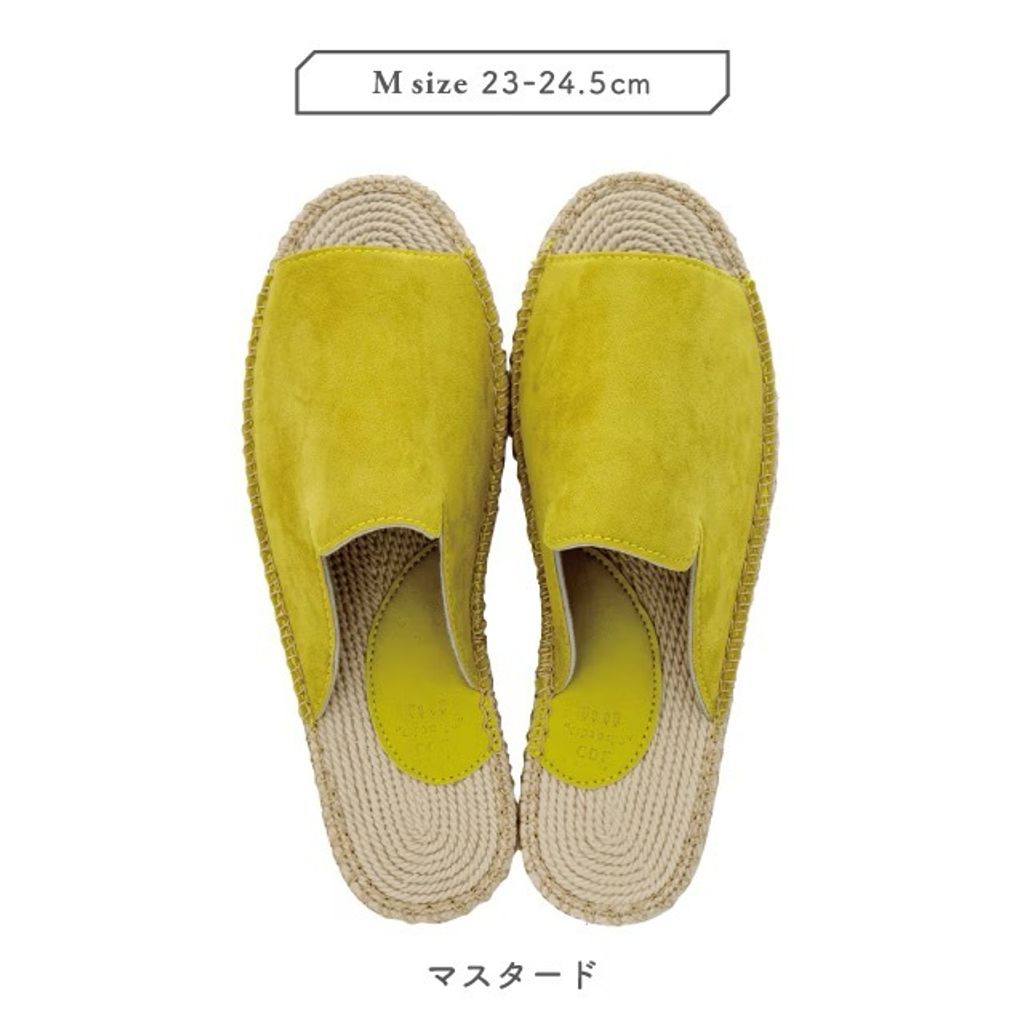影像 12