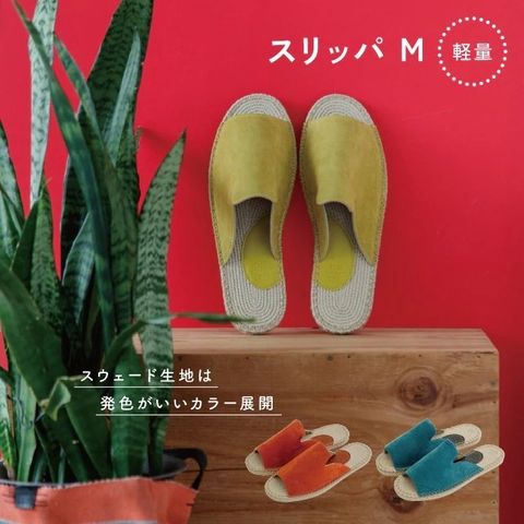 影像 10
