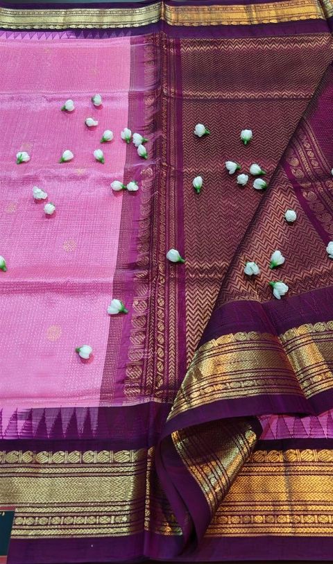 photo_2026-03-31_18-05-38