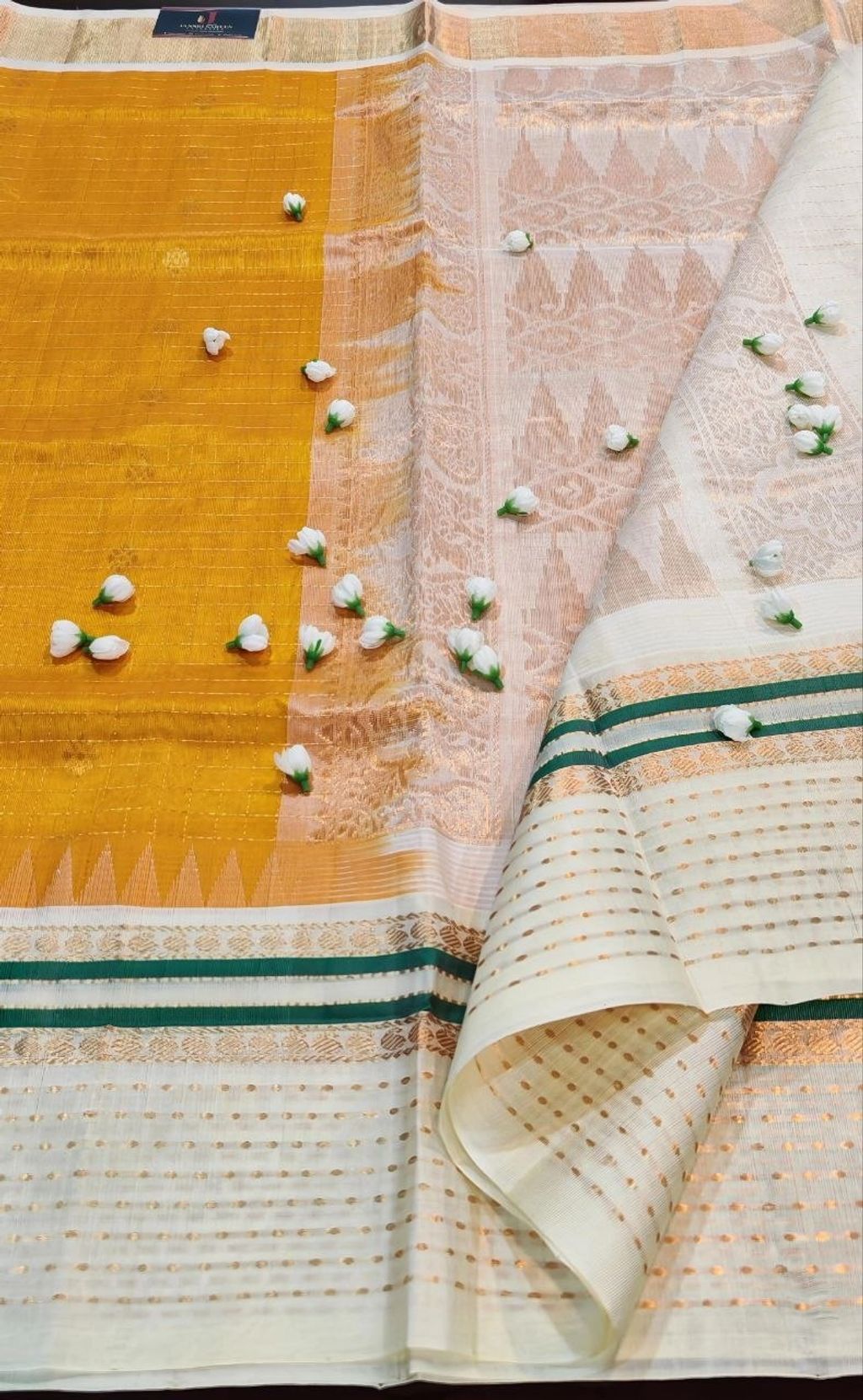 photo_2026-03-31_18-24-51