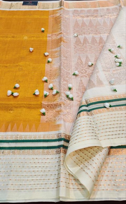 photo_2026-03-31_18-24-51