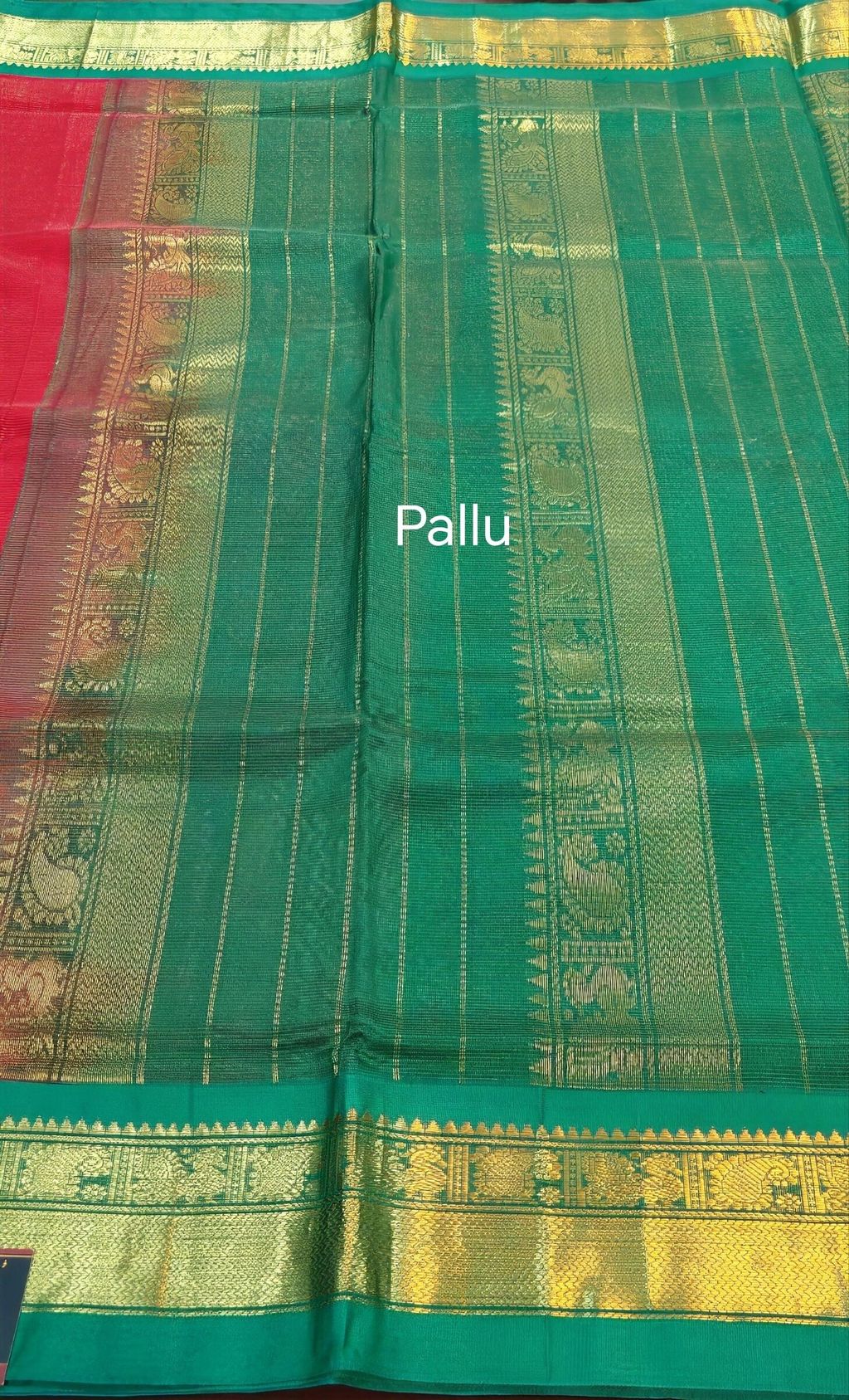 photo_2026-04-07_19-25-20