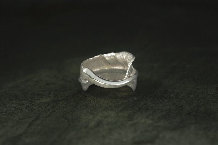 800x-1