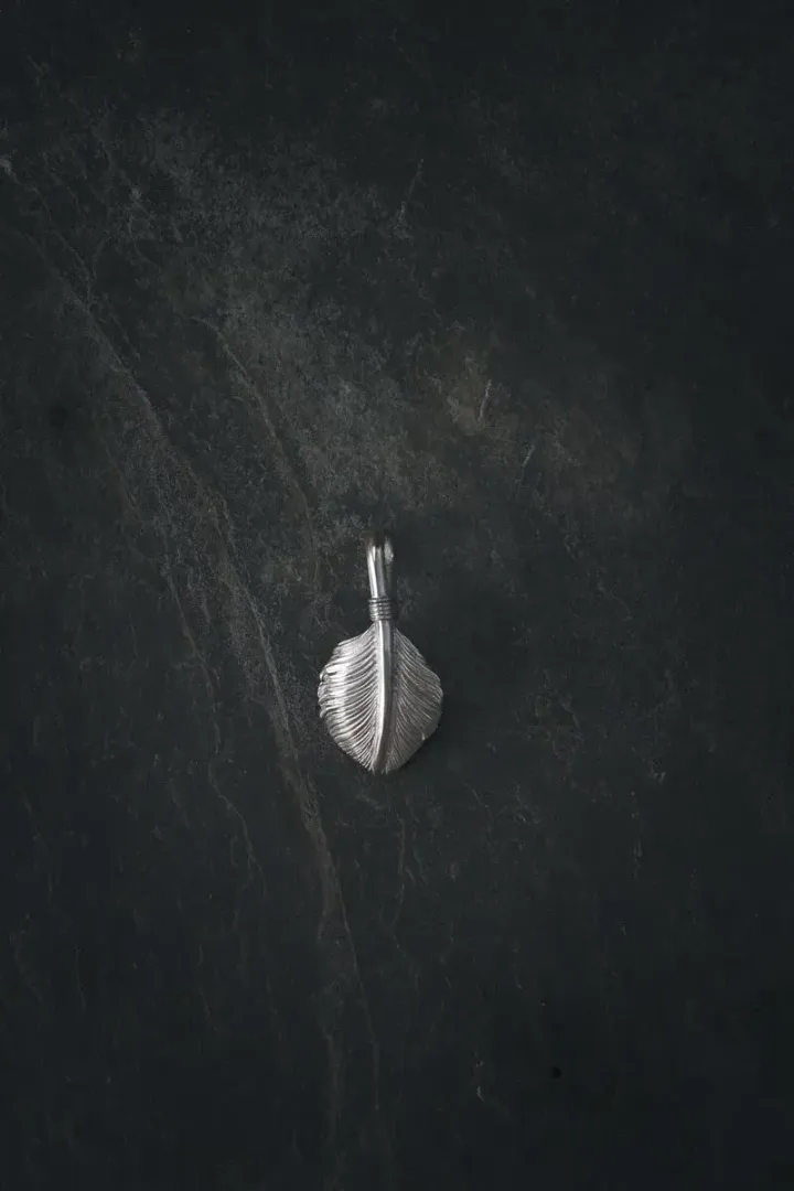 800x