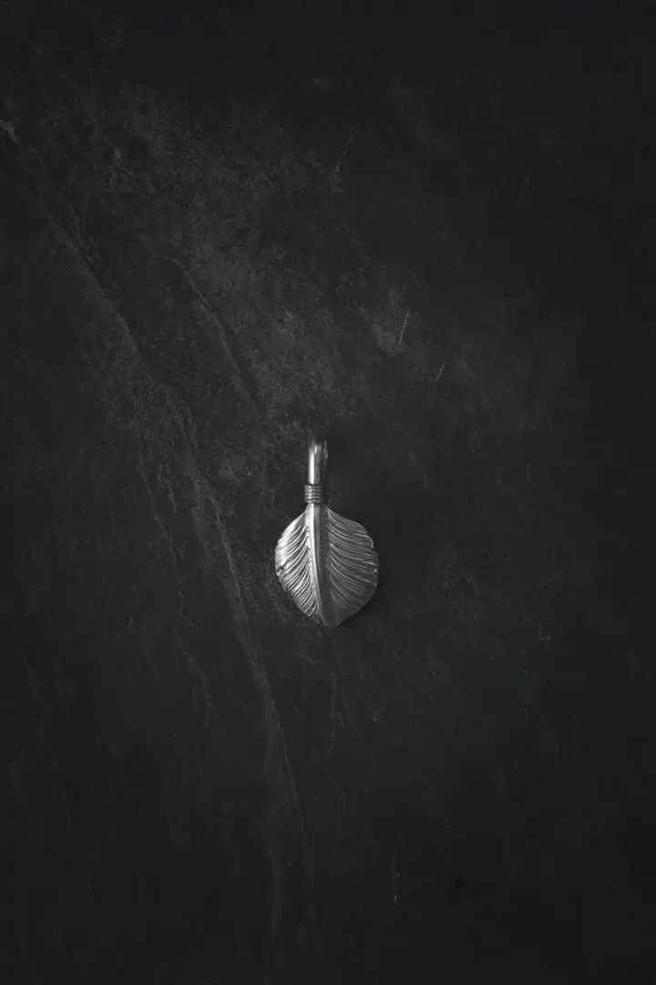 800x