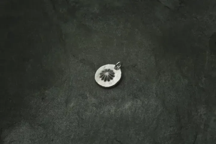 800x