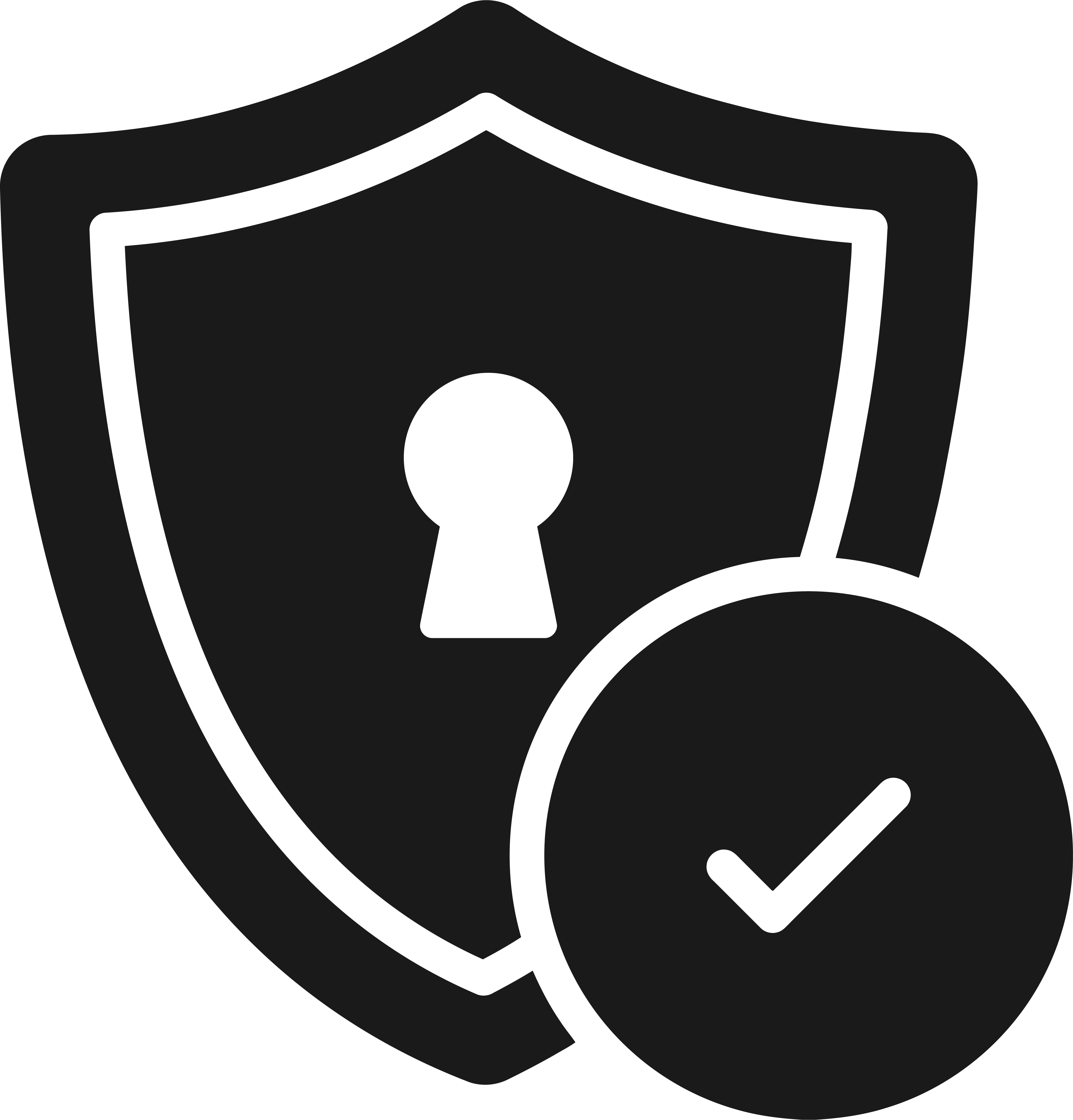 Secure payments | SAFECAM