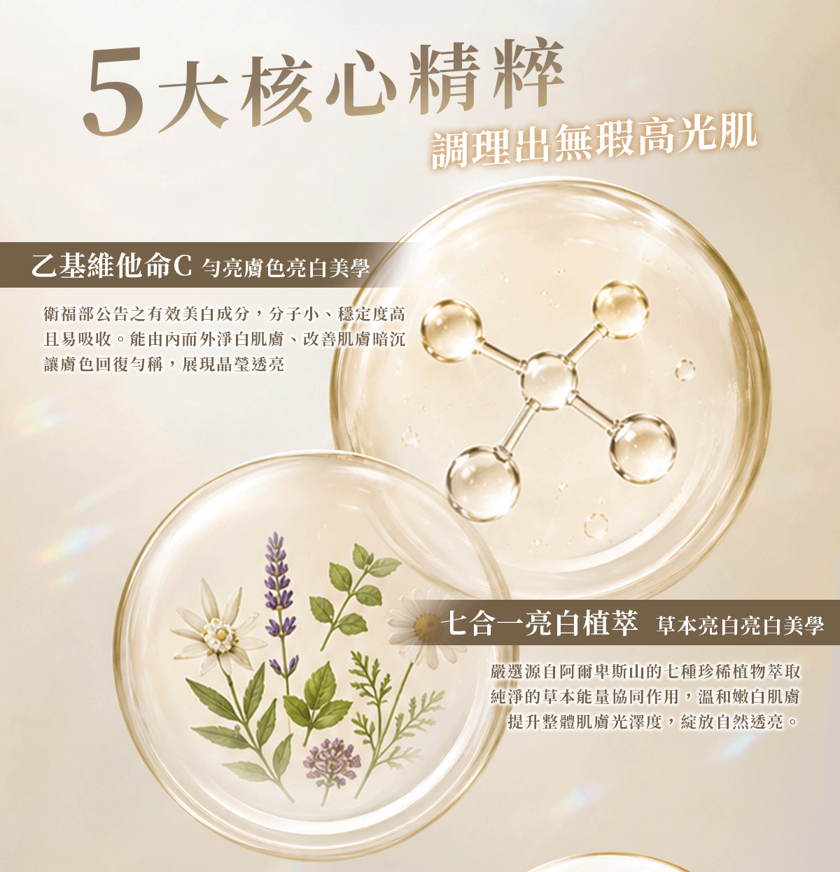 淨白精華-詳情頁_03