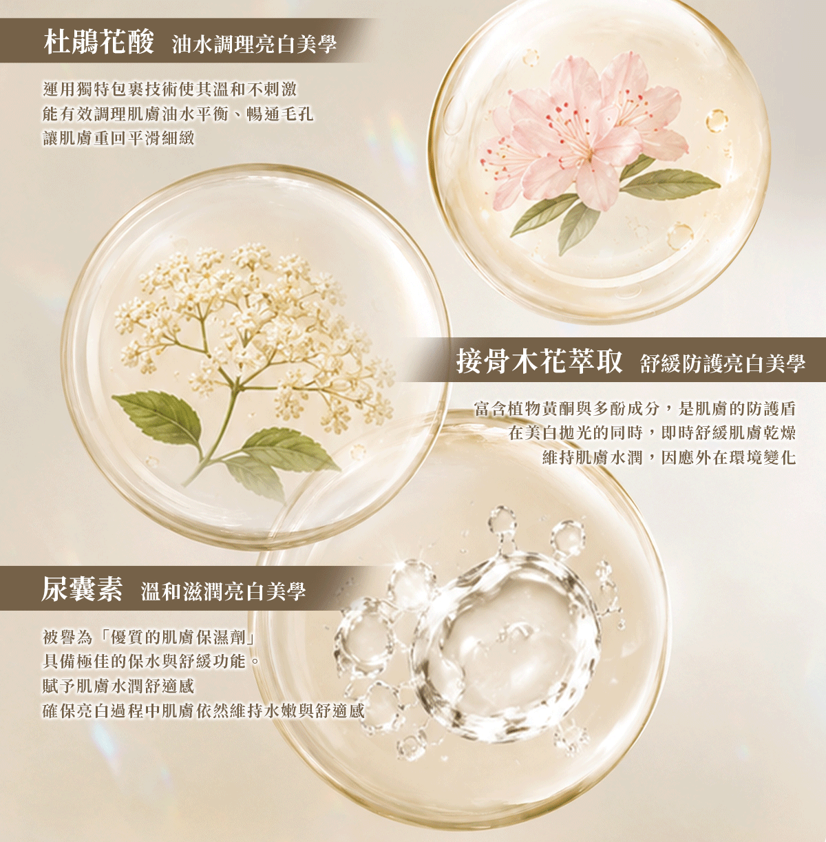 淨白精華-詳情頁_04