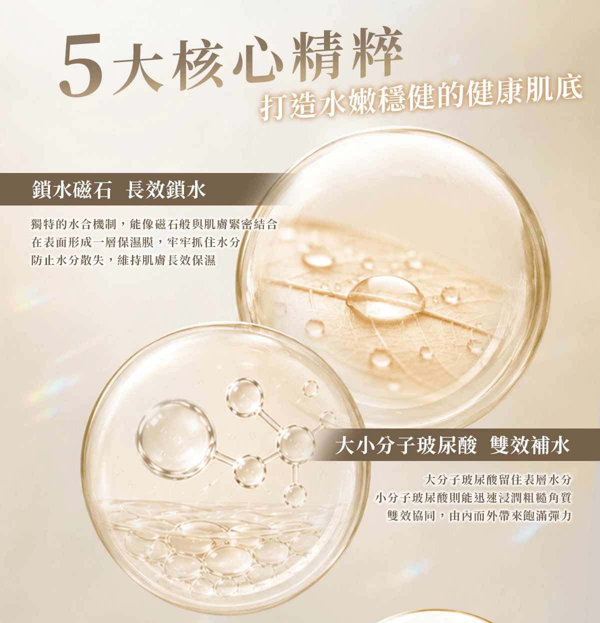 清爽化妝水-詳情頁_03