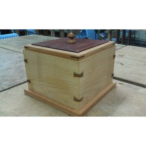 tw-11134207-7r992-lyanyotobpcu02