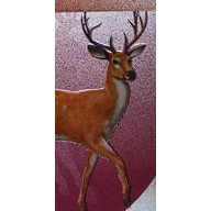 tw-11134207-7r992-lxvxhl4azy9c6d