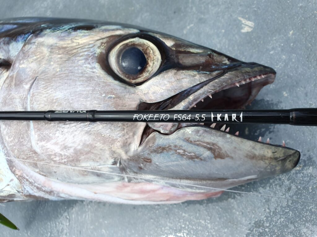 【日本高CP值路亞竿推薦】老手進階必看！ZENAQ FOKEETO IKARI 頂級鐵板竿全解析