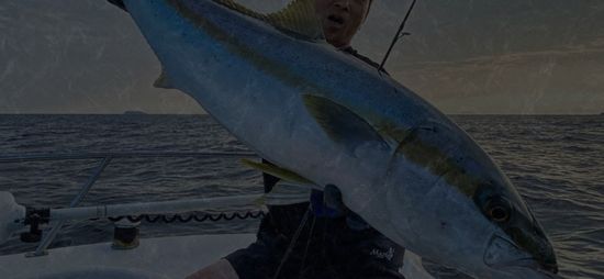 恆灃企業 ARQ | ARQ