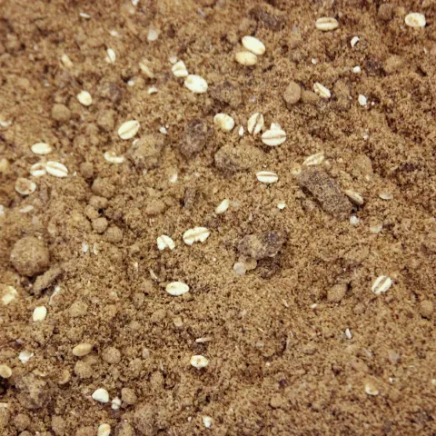 65a979e21251ab46dc106017122b44de_d55edc6f-babb-47a5-a7ac-835601733053_1080x