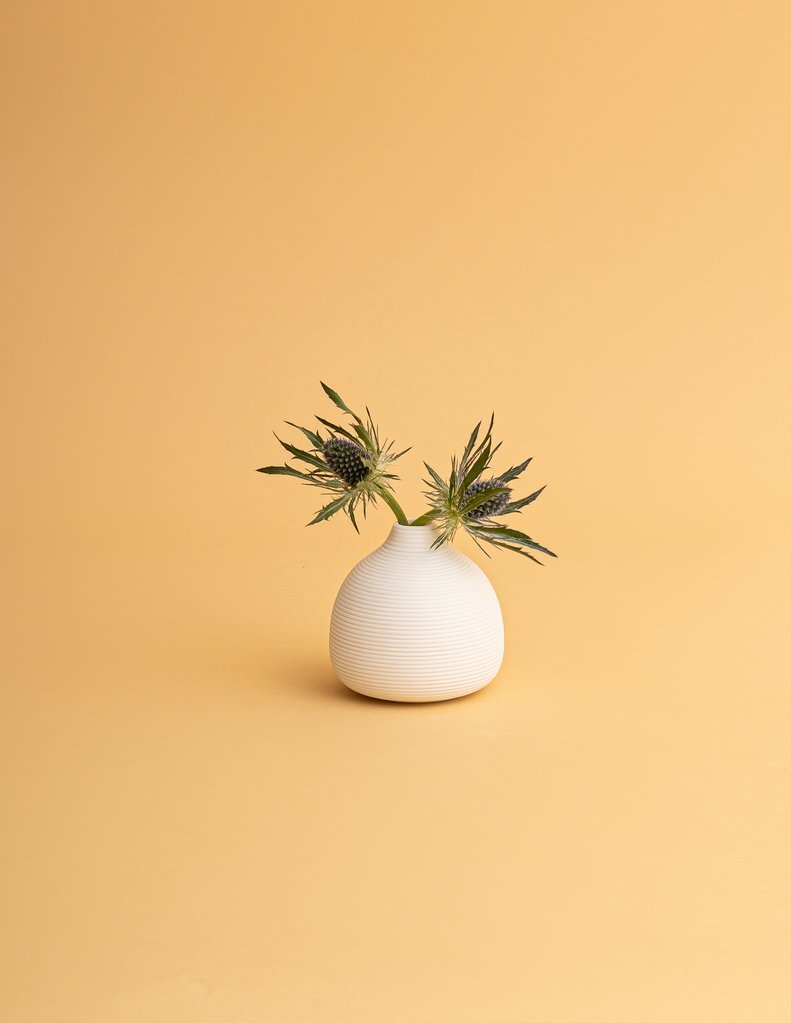 vasnew-104_1024x1024