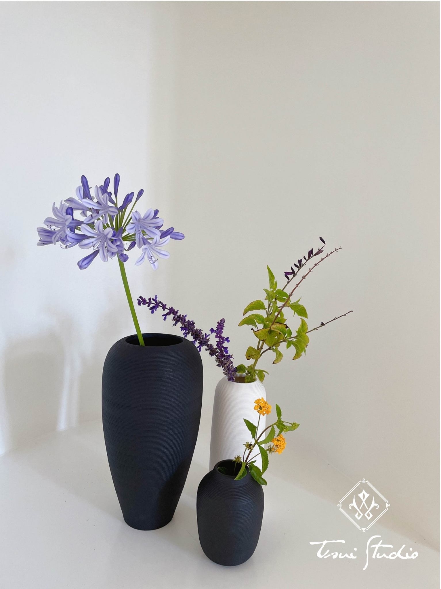 432994451_833045668861926_7333153278626800534_n