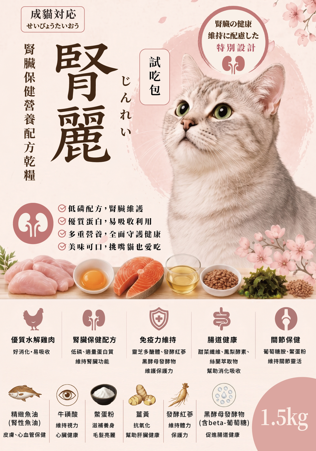 腎麗貓糧-01