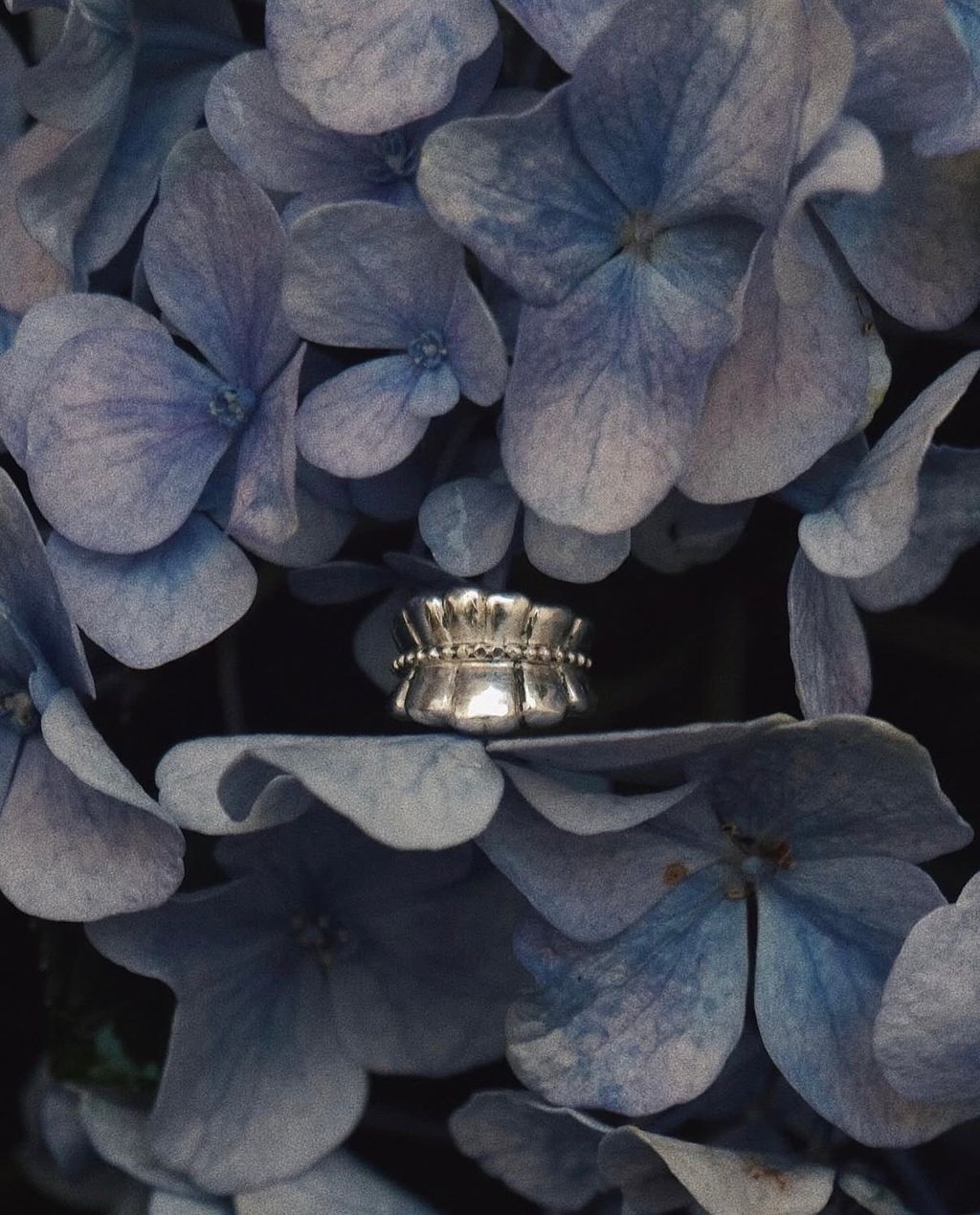 image_CFE0F722-5E4D-4C1A-A152-C523245115E1_1774616726