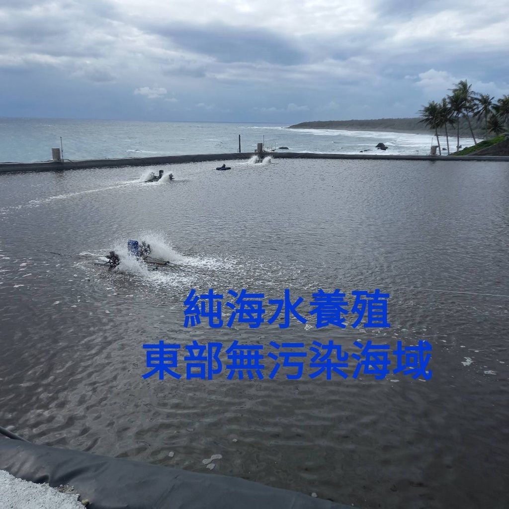 dfdca7d384b6fa41e166ab6615717429