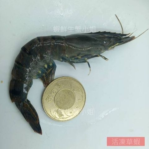 tw-11134207-81ztj-miu1gffmkj60a7