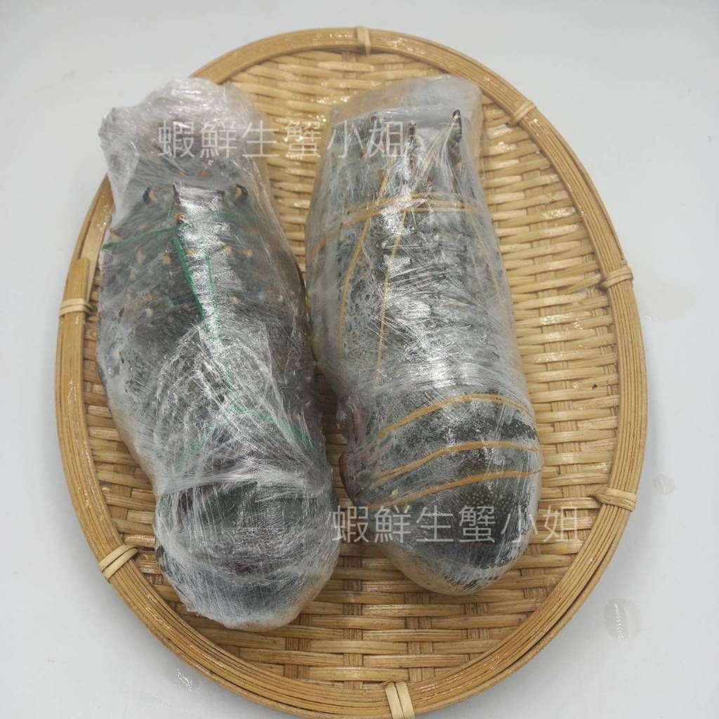 tw-11134207-7r98x-lsxkimdy203sb0