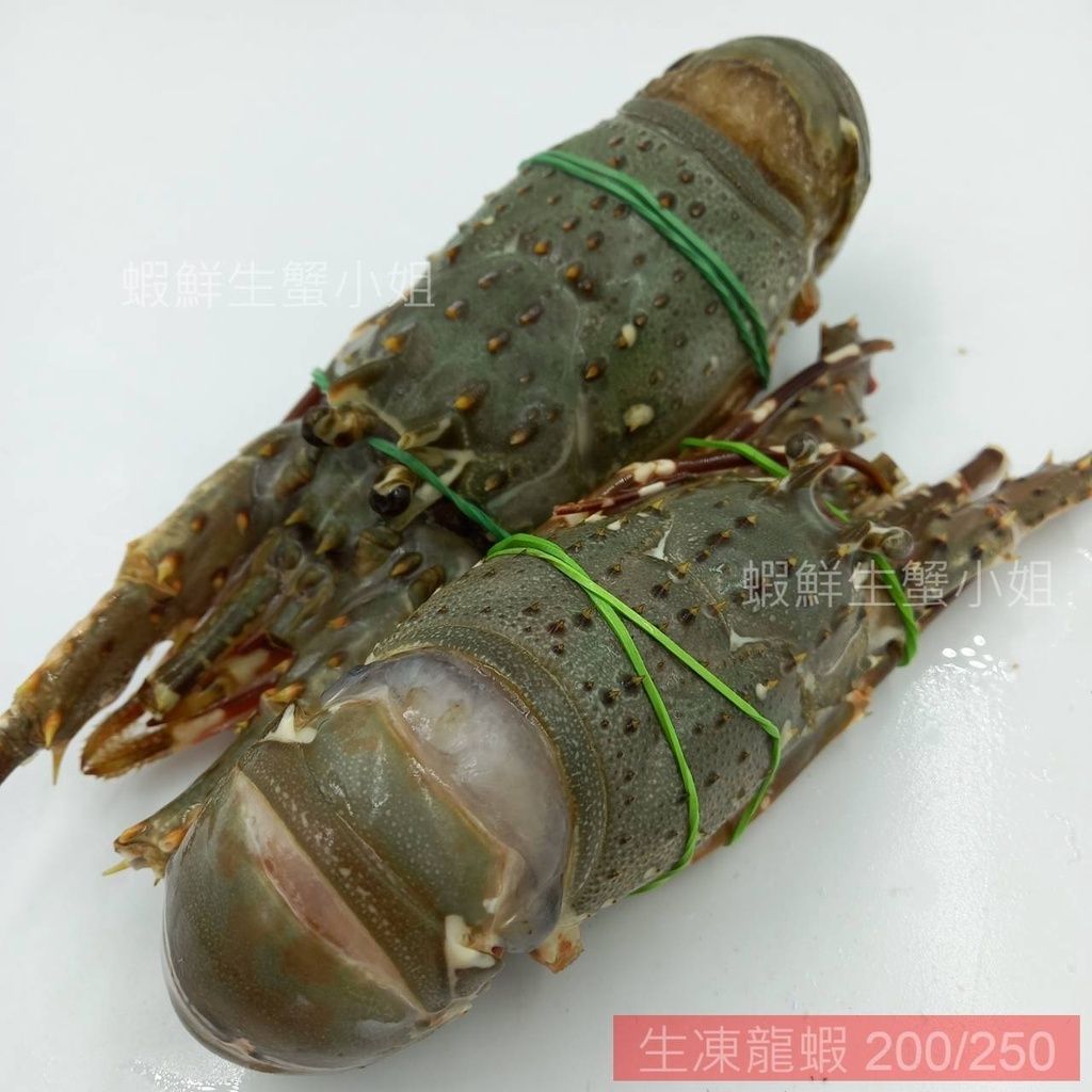 tw-11134207-7r98u-lsxkimdxxseg6a