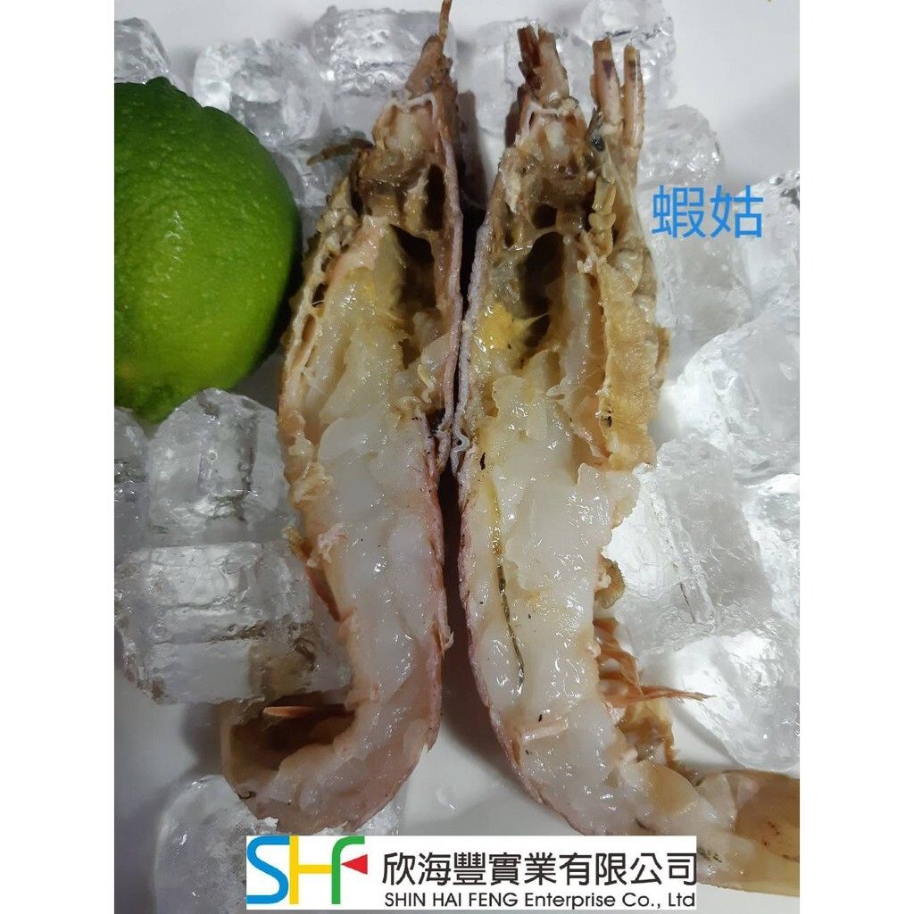 81825cceffedde2c987efd09c5357476
