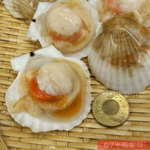 tw-11134207-7rbkc-m7uhph7j3804db