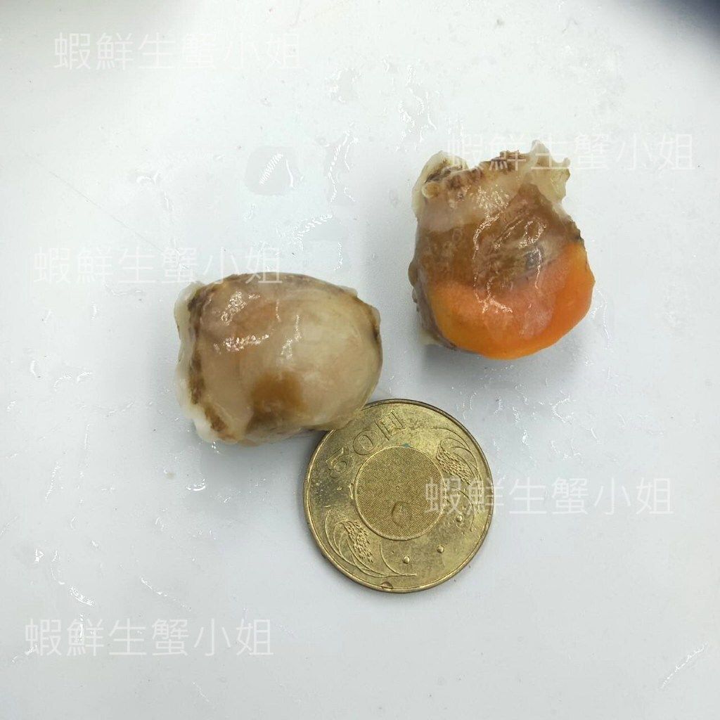 tw-11134207-7r98r-lq5uxsh05seac2