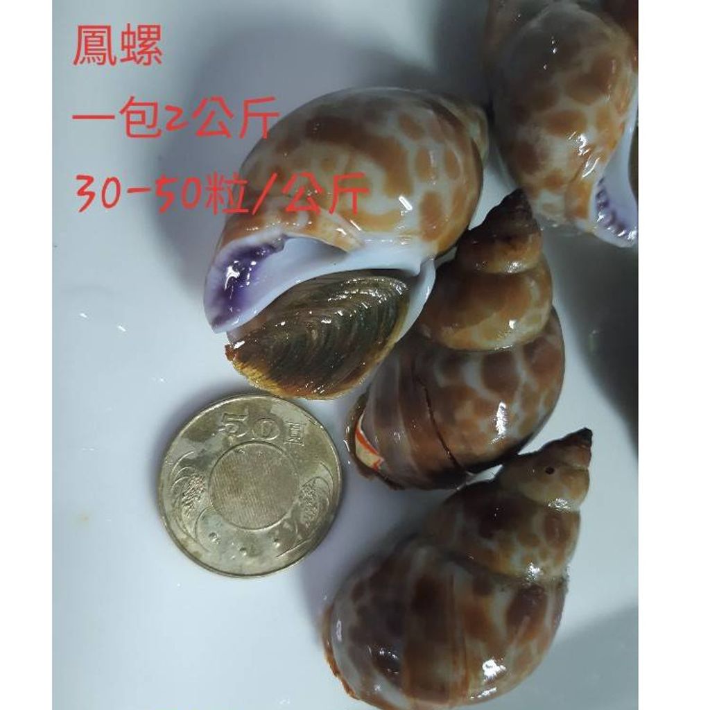 tw-11134207-7r992-ltrld68c9fob4f