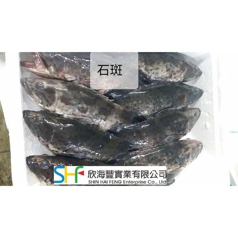 bf6b07c74396af275ec4ea28ef161c4c