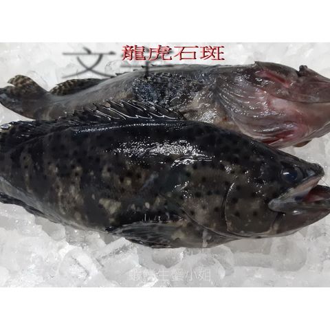 8e4834f75448d770e159e3525c1023ef