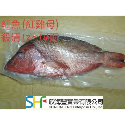 ae606b3af87dd9272106838a946eeb9e