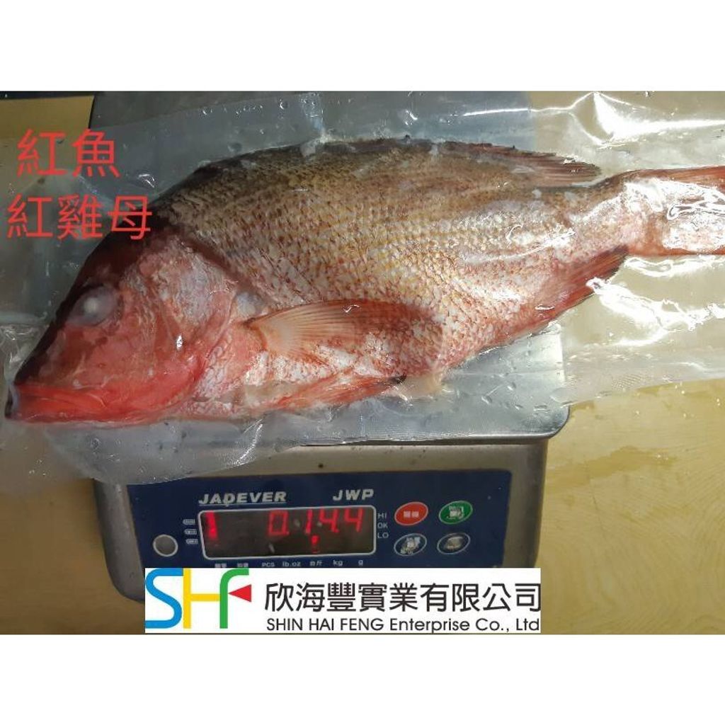 a74169a280ba1049a46e7debcb544d5b
