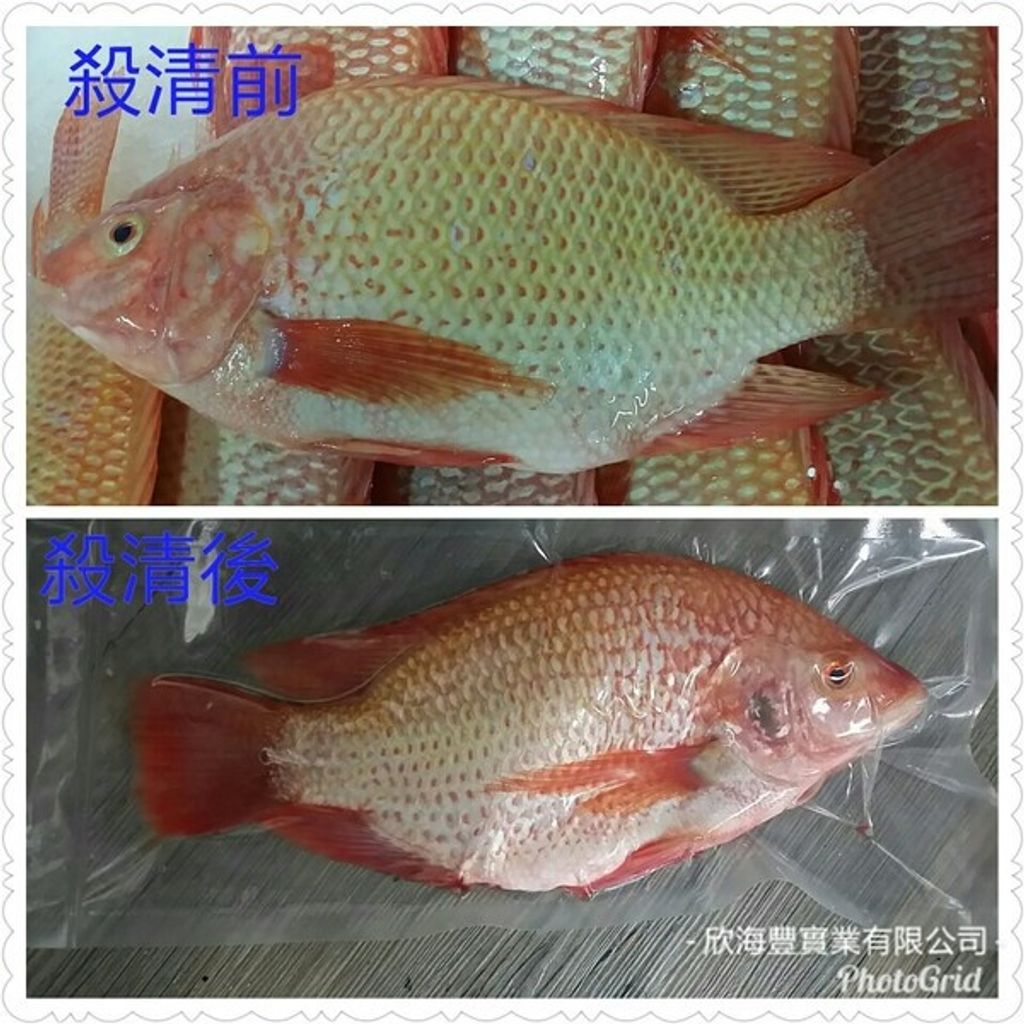 sg-11134201-22120-p1zpw7akc6kvad