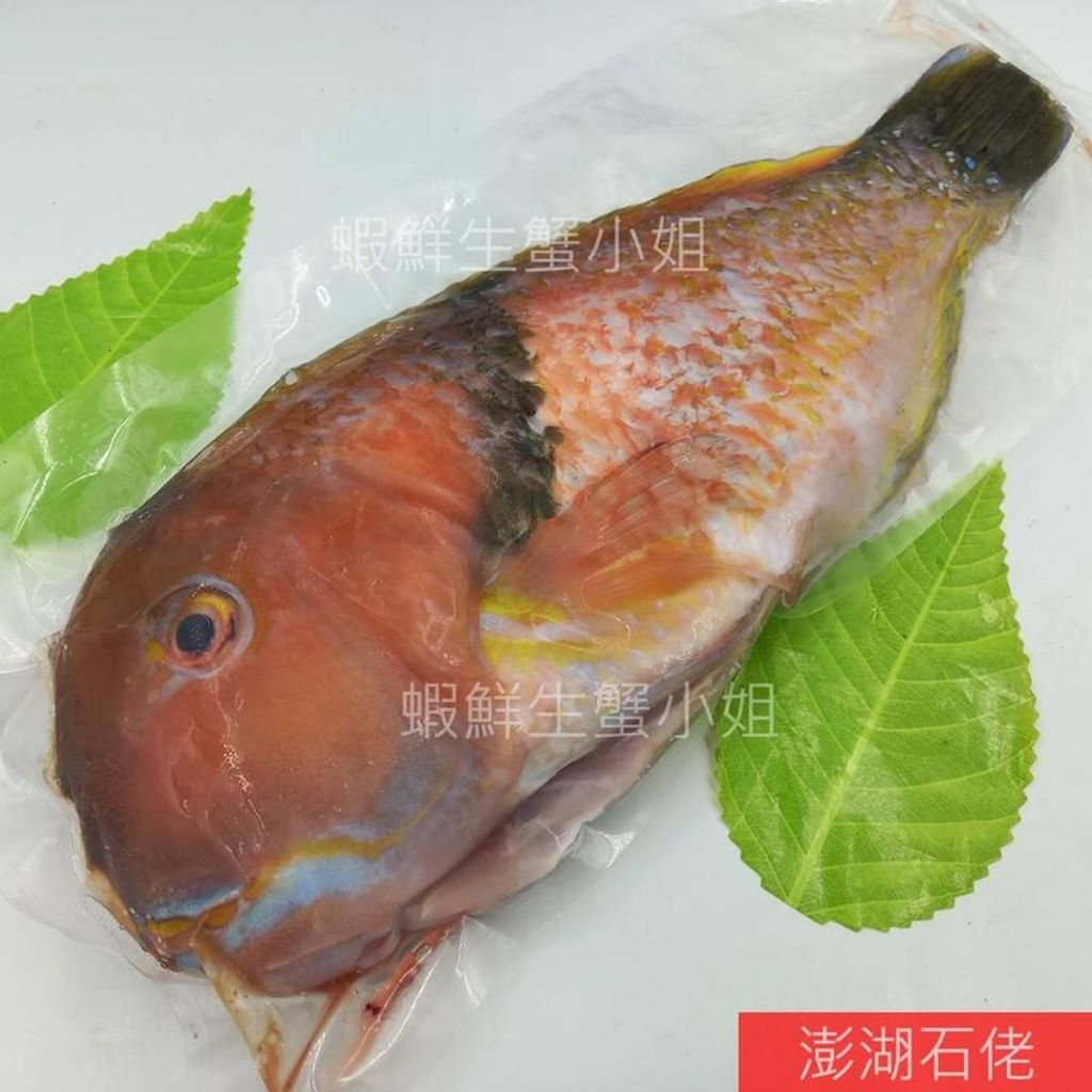 d97e0589834cdcb8178558b7c1bcd0e9